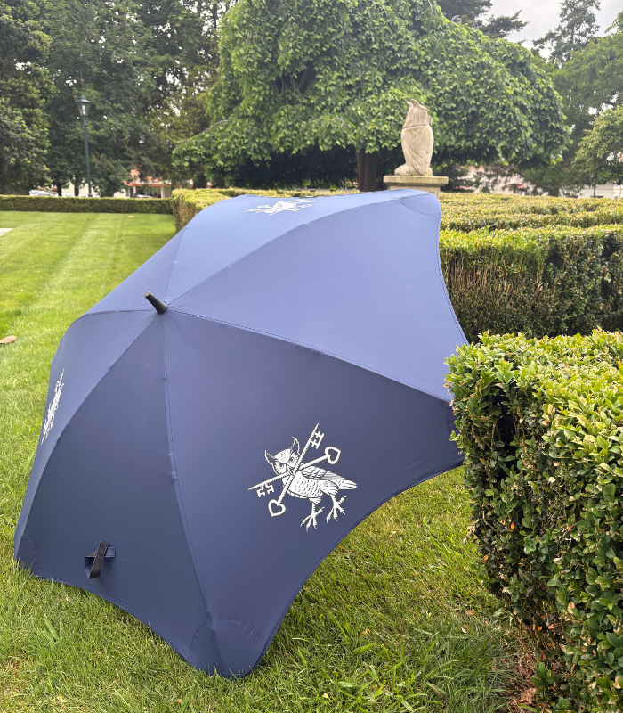 Blunt Umbrella